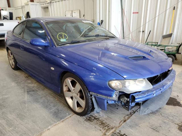 PONTIAC GTO 2006 with VIN 6G2VX12U56L548758 - Photo from auction