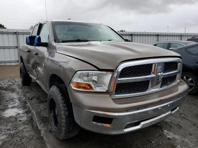 DODGE RAM 1500 2009 with VIN 1D3HV18P09S756321 - Photo from auction