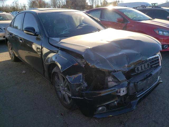 AUDI A4 PREMIUM 2010 with VIN WAUBFAFLXAN012737 - Photo from auction