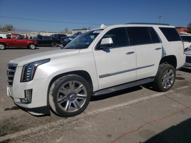 CADILLAC ESCALADE P 2020 with VIN 1GYS4CKJ5LR233497 - Photo from auction