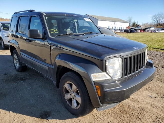 JEEP LIBERTY SP 2010 with VIN 1J4PN2GK6AW162002 - Photo from auction