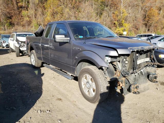 FORD F150 SUPER 2010 with VIN 1FTEX1EW5AFC64463 - Photo from auction