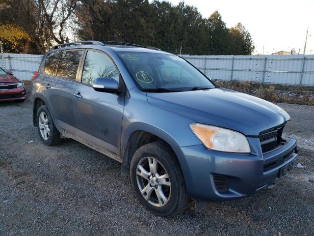 TOYOTA RAV4 2012 with VIN 2T3BF4DV9CW239289 - Photo from auction