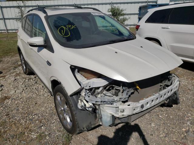 FORD ESCAPE SEL 2013 with VIN 1FMCU0H91DUD23679 - Photo from auction