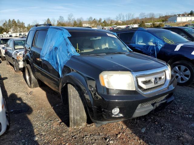 HONDA PILOT EXL 2009 with VIN 5FNYF48559B028819 - Photo from auction