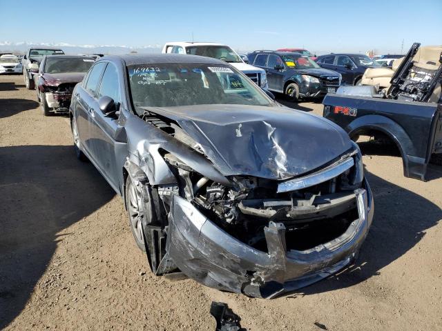 HONDA ACCORD EXL 2011 with VIN 1HGCP2F80BA026274 - Photo from auction