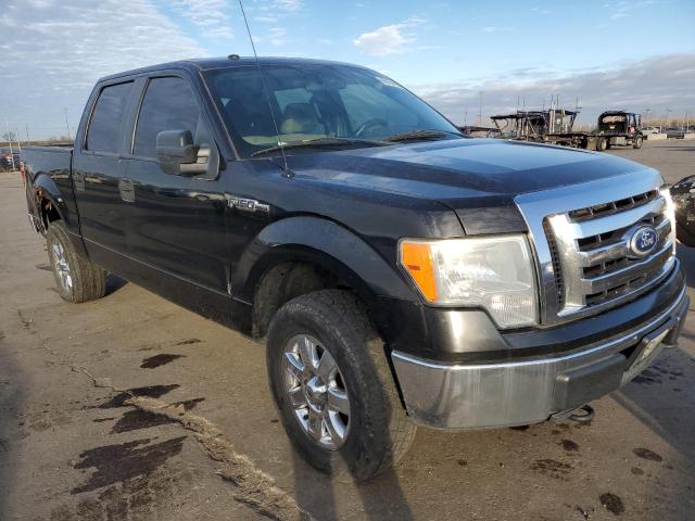 FORD F150 SUPER 2010 with VIN 1FTEW1E87AFC00624 - Photo from auction