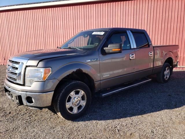 Photo 2 from auction – 2011 FORD F150 SUPER with VIN 1FTFW1ET7BFB79090