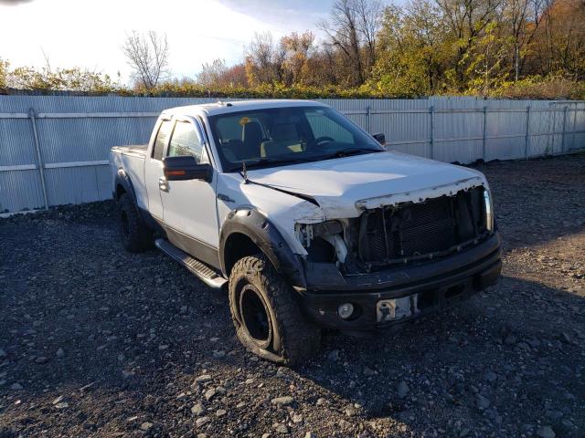 FORD F150 SUPER 2010 with VIN 1FTEX1E87AFD14121 - Photo from auction