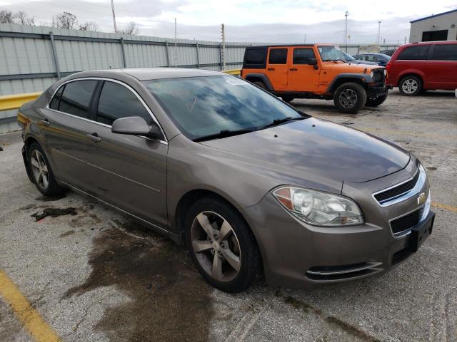 CHEVROLET MALIBU 1LT 2011 with VIN 1G1ZC5E17BF169180 - Photo from auction