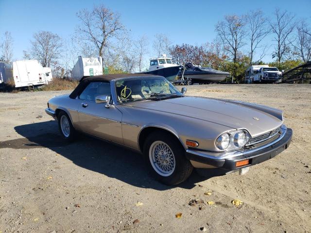 JAGUAR XJS CLASSI 1991 with VIN SAJTW4841MC178032 - Photo from auction