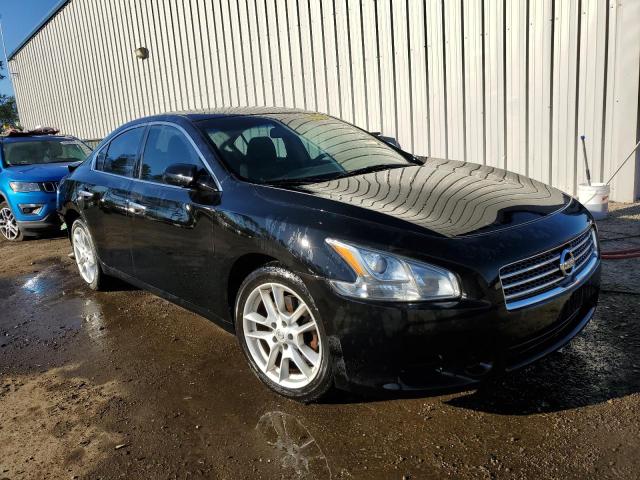NISSAN MAXIMA S 2009 with VIN 1N4AA51EX9C841981 - Photo from auction