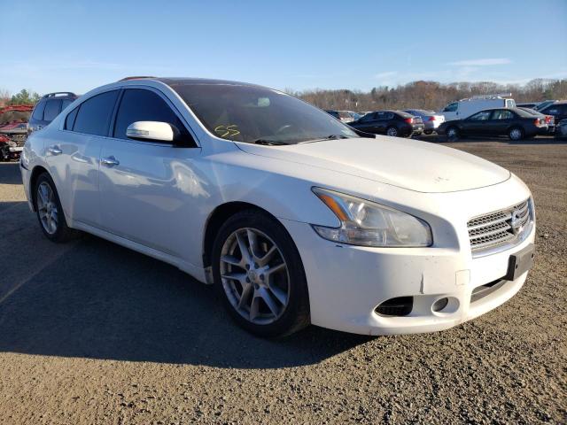 NISSAN MAXIMA S 2009 with VIN 1N4AA51E79C843607 - Photo from auction