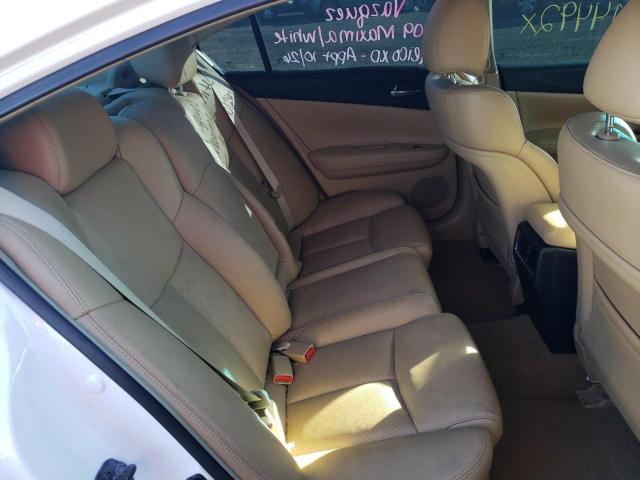 Photo 6 from auction – 2009 NISSAN MAXIMA S with VIN 1N4AA51E79C843607