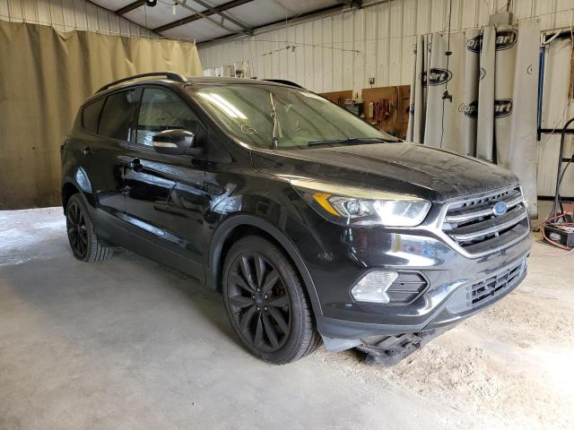FORD ESCAPE TIT 2017 with VIN 1FMCU0JD7HUB30117 - Photo from auction
