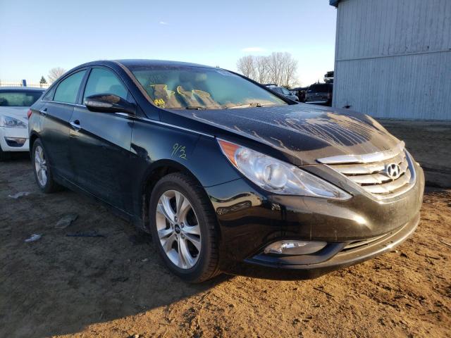 HYUNDAI SONATA SE 2011 with VIN 5NPEC4AC7BH156751 - Photo from auction