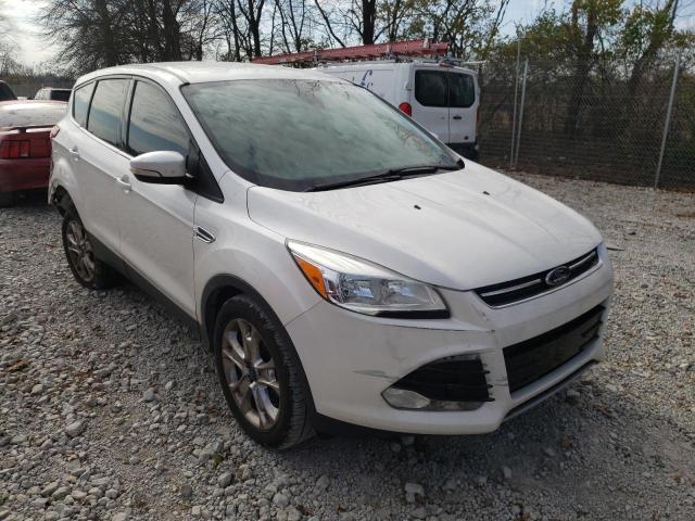 Photo 1 from auction – 2013 FORD ESCAPE SEL with VIN 1FMCU0HX4DUD52429