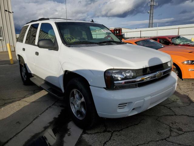 CHEVROLET TRAILBLAZE 2007 with VIN 1GNDS13S872276429 - Photo from auction