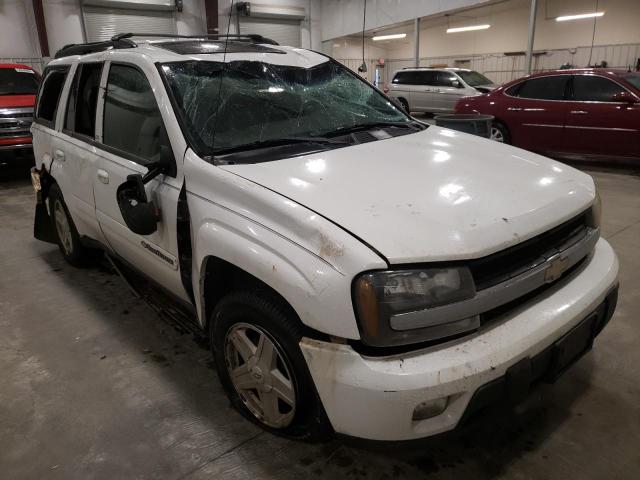 CHEVROLET TRAILBLAZE 2003 with VIN 1GNDT13S632255361 - Photo from auction