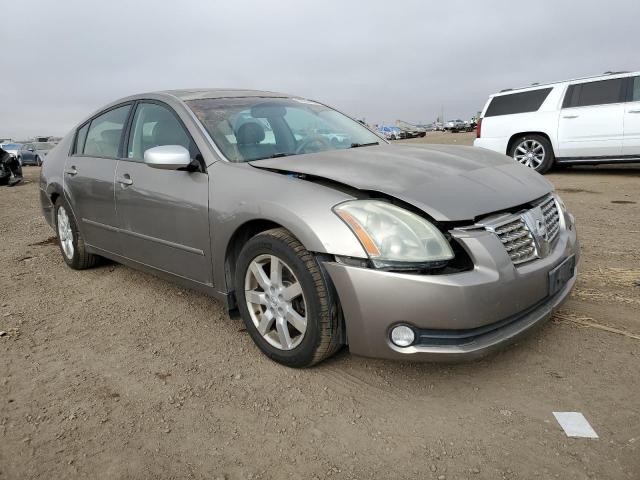 NISSAN MAXIMA SE 2006 with VIN 1N4BA41E56C831613 - Photo from auction