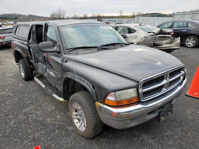 DODGE DAKOTA QUA 2002 with VIN 1B7HG48N52S605533 - Photo from auction