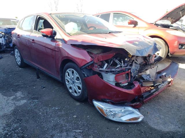 FORD FOCUS SE 2014 with VIN 1FADP3K29EL433745 - Photo from auction