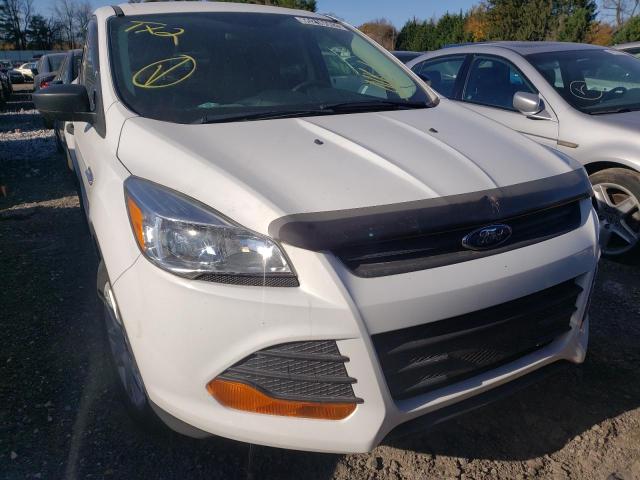 Photo 9 from auction – 2016 FORD ESCAPE S with VIN 1FMCU0F70GUC83942