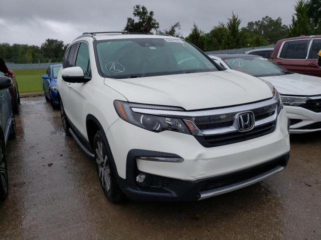 HONDA PILOT EXL 2019 with VIN 5FNYF5H40KB022929 - Photo from auction