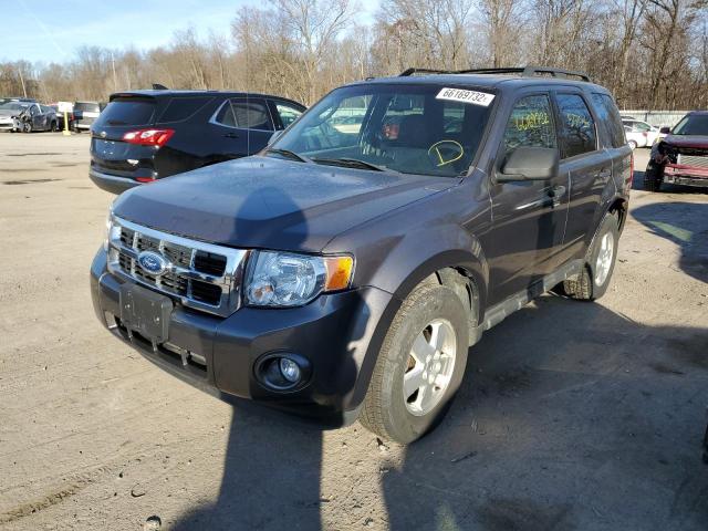 Photo 2 from auction – 2011 FORD ESCAPE XLT with VIN 1FMCU0D73BKA20562