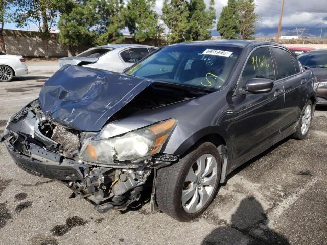 Photo 2 from auction – 2010 HONDA ACCORD EX with VIN 1HGCP2F71AA116457