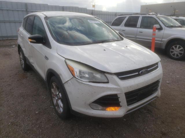 FORD ESCAPE SEL 2013 with VIN 1FMCU0HX4DUC49317 - Photo from auction