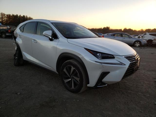 LEXUS NX 300 2020 with VIN JTJGARDZ2L5008016 - Photo from auction