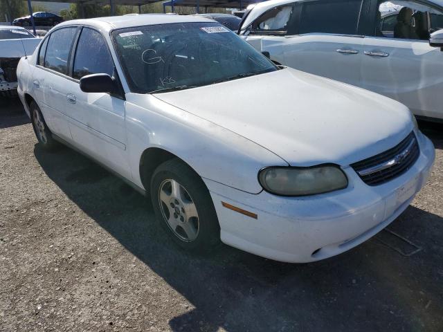 CHEVROLET MALIBU 2001 with VIN 1G1ND52J216260386 - Photo from auction