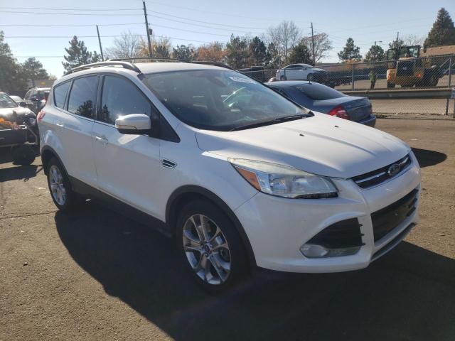 FORD ESCAPE SEL 2013 with VIN 1FMCU9HX2DUA07419 - Photo from auction