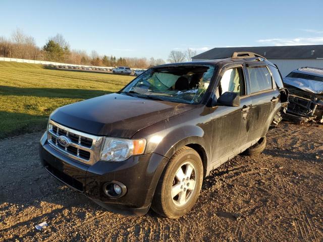 Photo 2 from auction – 2010 FORD ESCAPE XLT with VIN 1FMCU0D70AKD36452