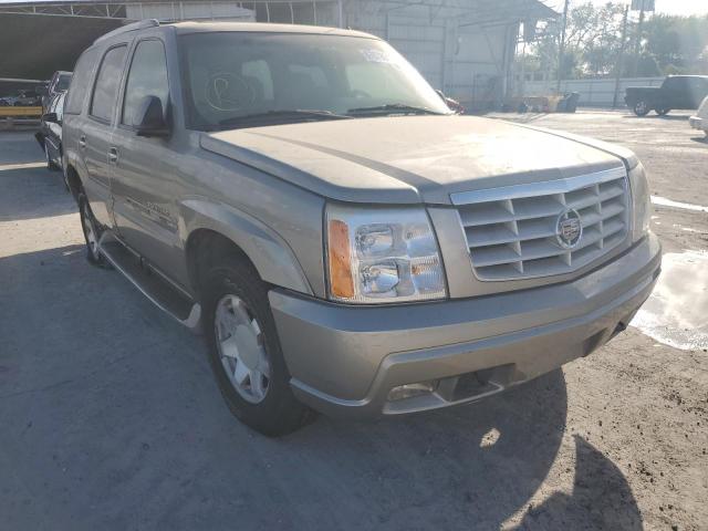 CADILLAC ESCALADE L 2002 with VIN 1GYEK63N12R122871 - Photo from auction