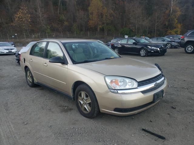 Photo 1 from auction – 2004 CHEVROLET MALIBU LS with VIN 1G1ZT52824F139797