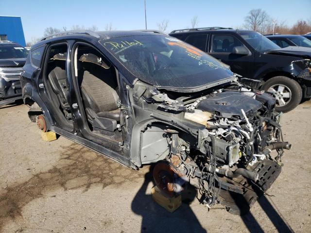 FORD ESCAPE TIT 2014 with VIN 1FMCU0JX7EUD71360 - Photo from auction