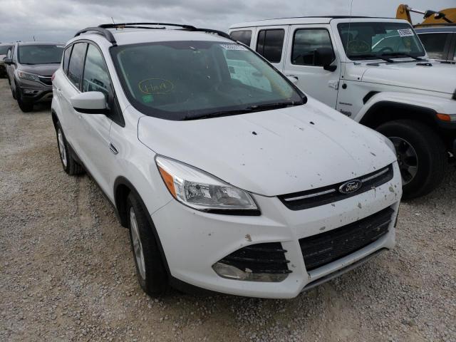 FORD ESCAPE SE 2014 with VIN 1FMCU0G99EUD58750 - Photo from auction