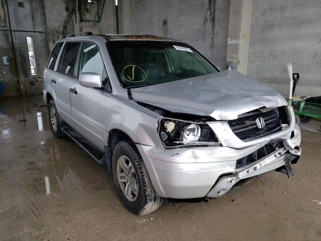 HONDA PILOT EXL 2005 with VIN 5FNYF18535B009145 - Photo from auction