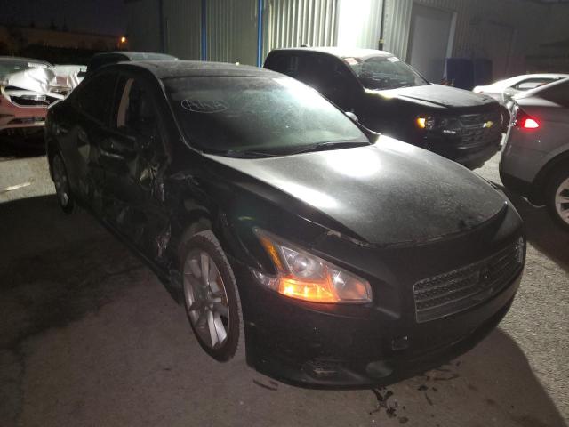 NISSAN MAXIMA S 2009 with VIN 1N4AA51E89C849321 - Photo from auction