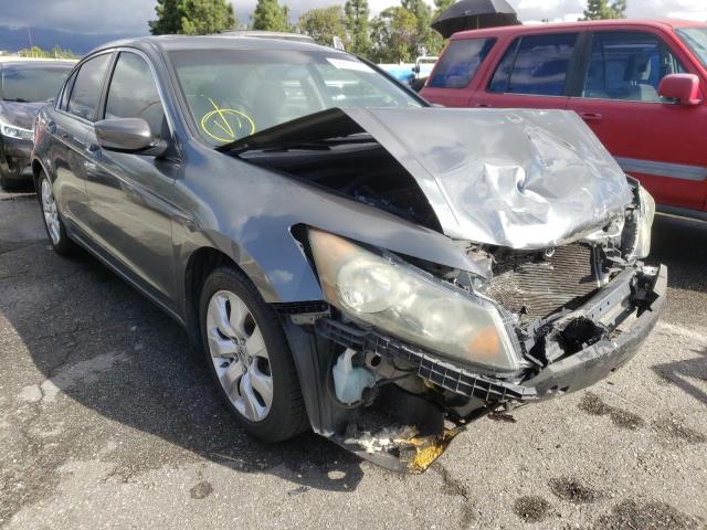 HONDA ACCORD EX 2010 with VIN 1HGCP2F71AA116457 - Photo from auction