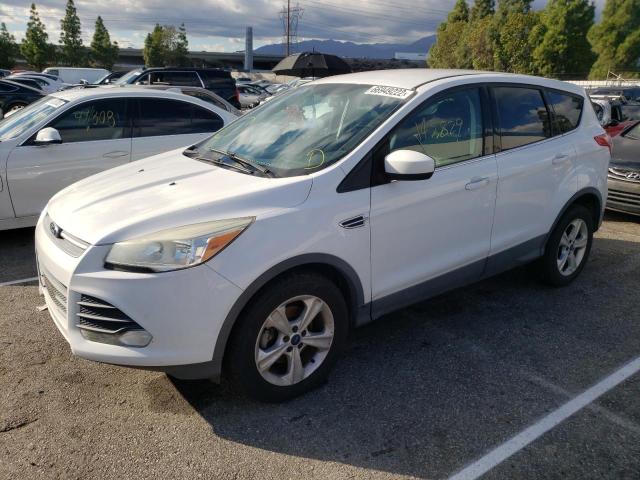 FORD ESCAPE SE 2014 with VIN 1FMCU0GX5EUC09623 - Photo from auction
