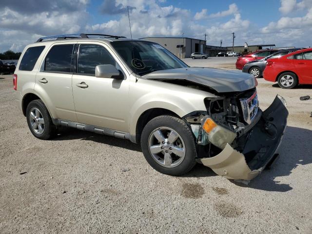 FORD ESCAPE LIM 2010 with VIN 1FMCU0EG8AKB53685 - Photo from auction