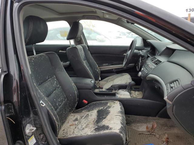 Photo 5 from auction – 2010 HONDA ACCORD EXL with VIN 1HGCP2F80AA047222