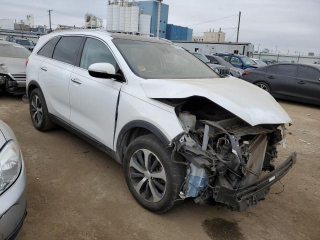 KIA SORENTO EX 2017 with VIN 5XYPH4A17HG294282 - Photo from auction