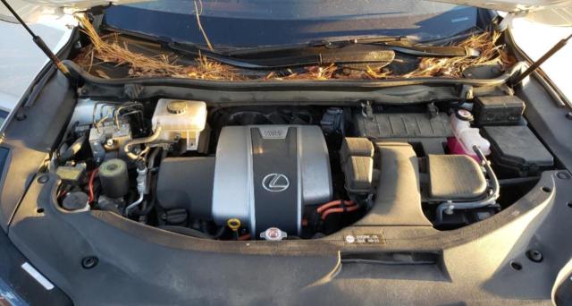 Photo 7 from auction – 2018 LEXUS RX 450H BA with VIN 2T2BGMCA7JC027831