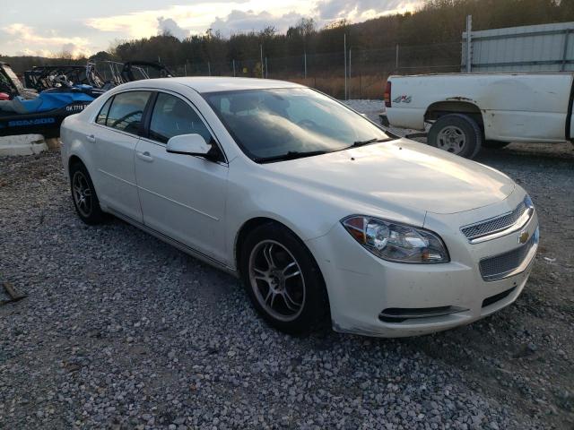 CHEVROLET MALIBU 1LT 2011 with VIN 1G1ZC5E10BF333594 - Photo from auction
