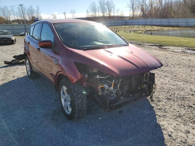 Photo 1 from auction – 2014 FORD ESCAPE SE with VIN 1FMCU9G93EUD23075