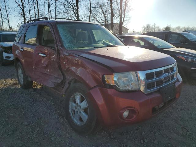 FORD ESCAPE XLT 2008 with VIN 1FMCU03178KD99457 - Photo from auction